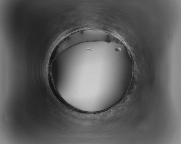 X0000093120007200710101049