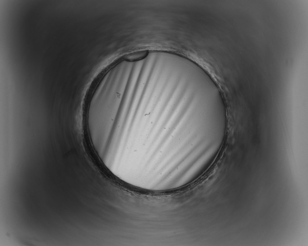 X0000093120008200710101049