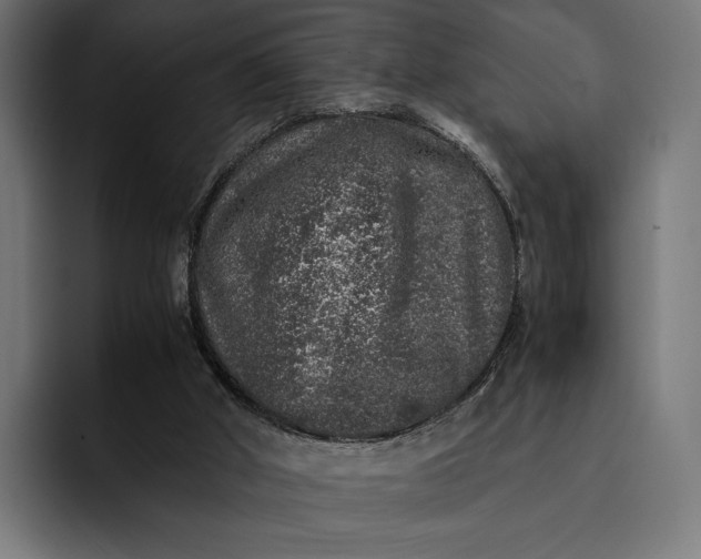 X0000093120010200710101049