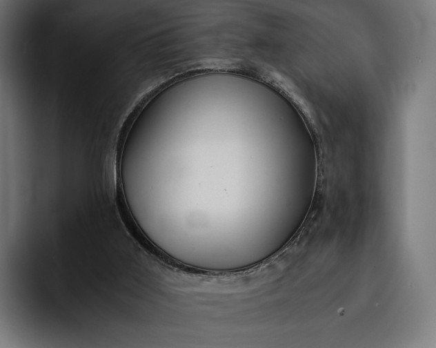 X0000093120011200710101049