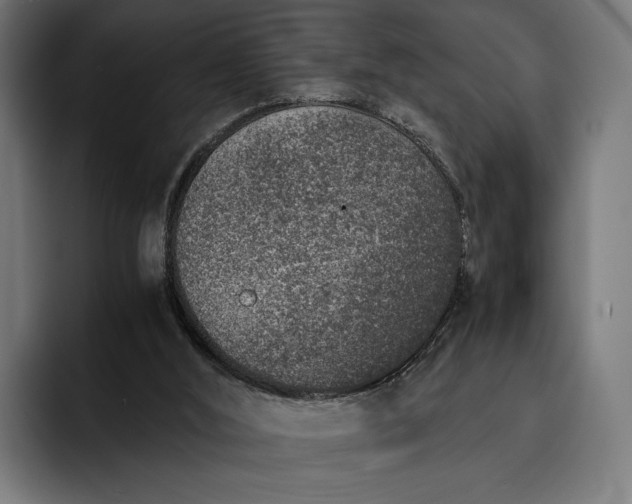 X0000093120012200710101049