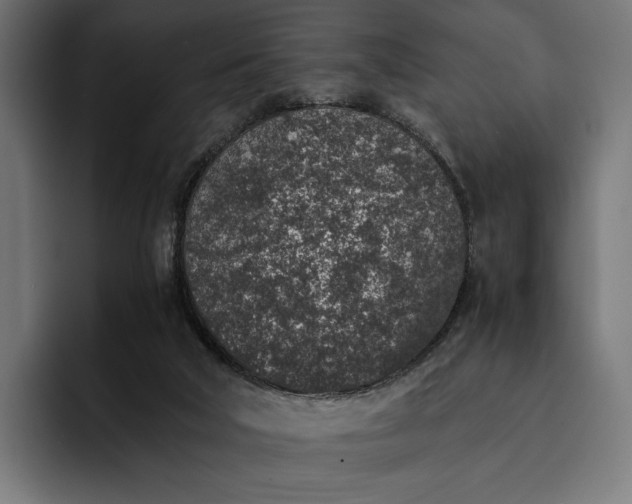 X0000093120018200710101049