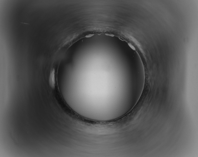 X0000093120020200710101049