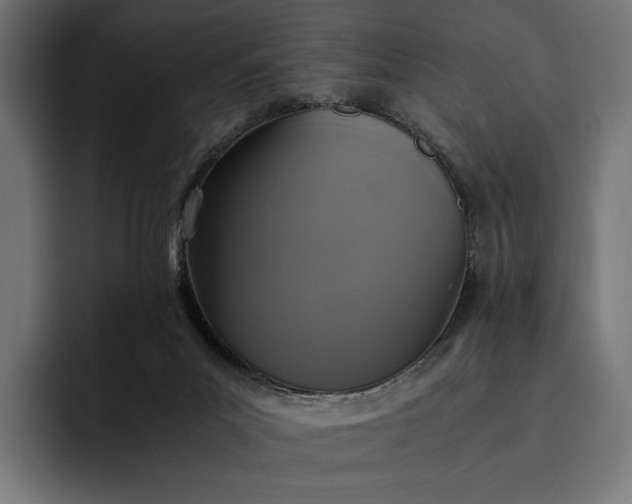 X0000093120023200710101049