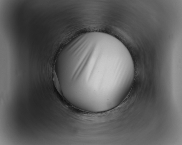 X0000093120025200710101049