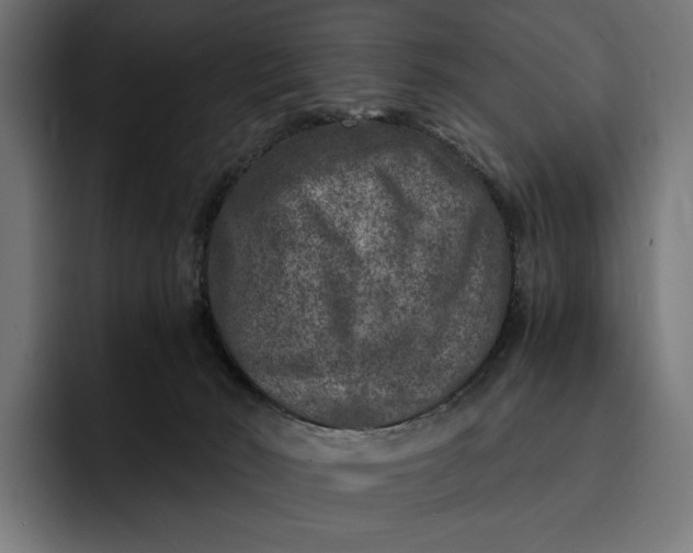 X0000093120030200710101049