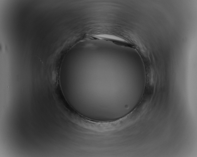 X0000093120031200710101049