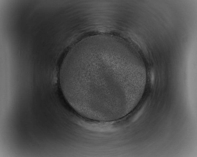 X0000093120032200710101049