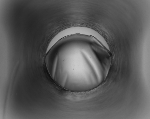 X0000093120033200710101049