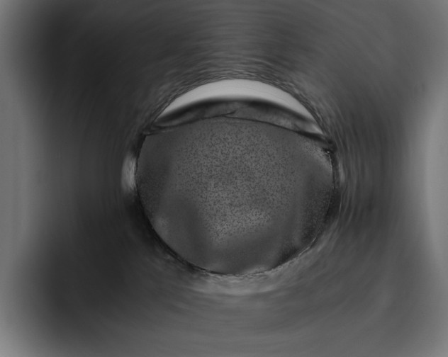 X0000093120041200710101048