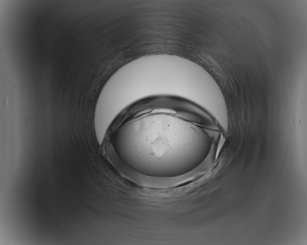 X0000093120045200710101048