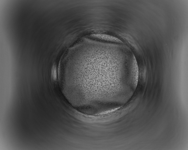 X0000093120046200710101048