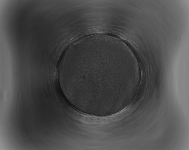 X0000093120048200710101048