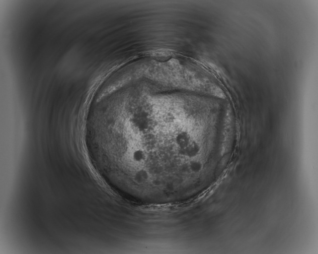 X0000093120049200710101048