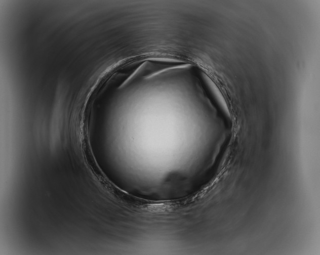 X0000093120050200710101048