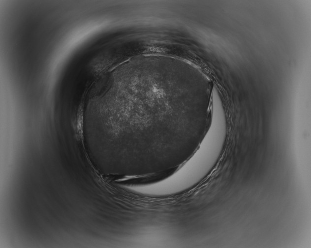 X0000093120052200710101048