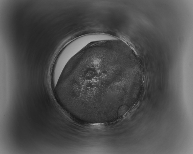 X0000093120053200710101048