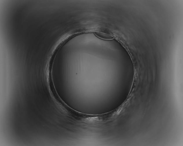 X0000093120054200710101048