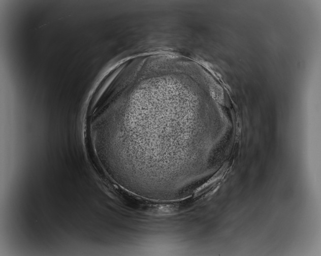 X0000093120056200710101048