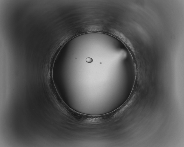 X0000093120057200710101048