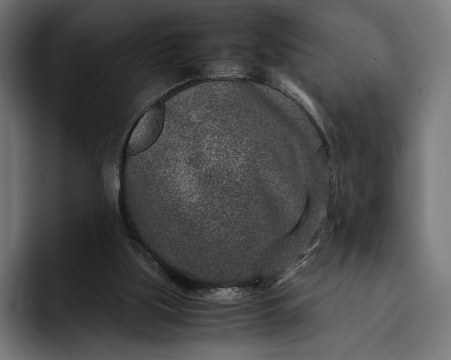 X0000093120059200710101048