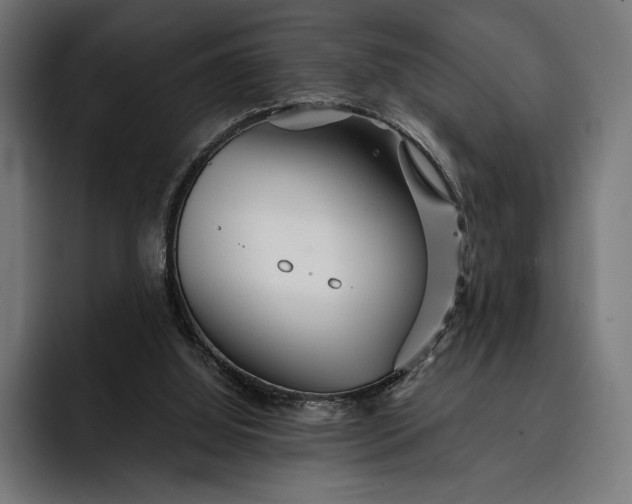 X0000093120060200710101048