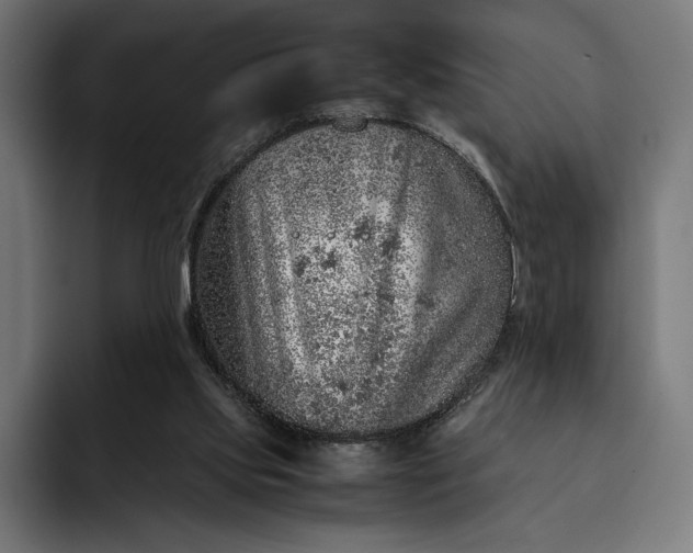 X0000093120061200710101048