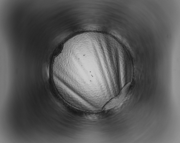 X0000093120062200710101048