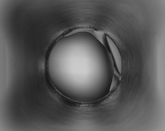 X0000093120064200710101048