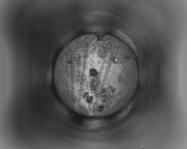 X0000093120065200710101048