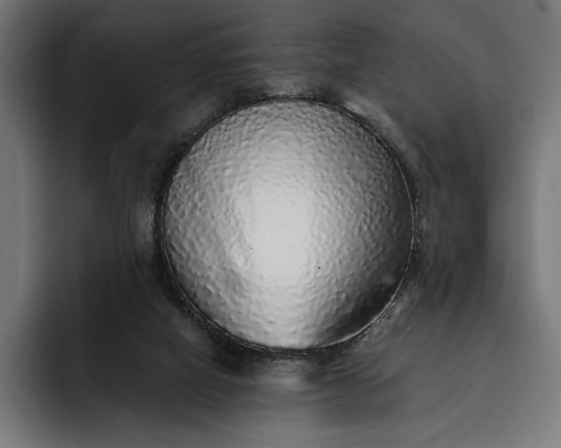 X0000093120066200710101048