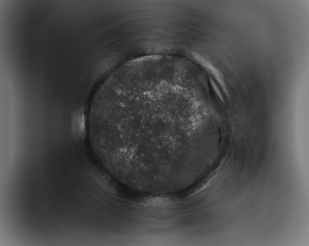 X0000093120067200710101048