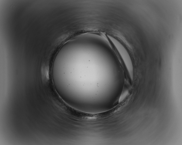 X0000093120068200710101048