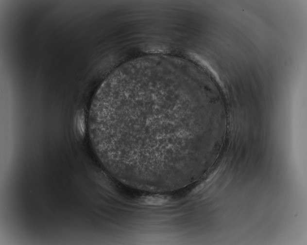 X0000093120069200710101048