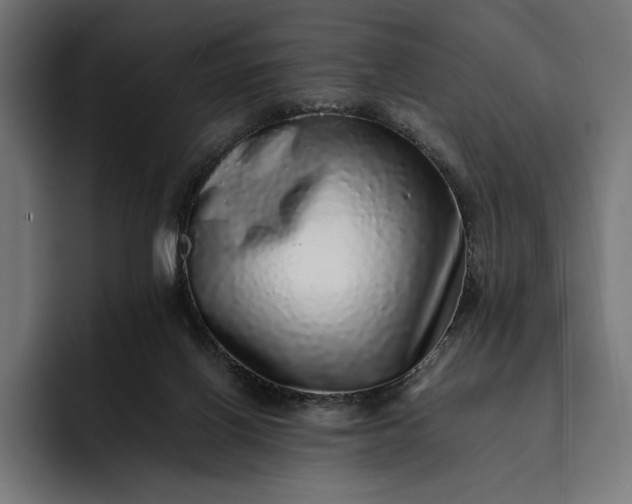 X0000093120070200710101048