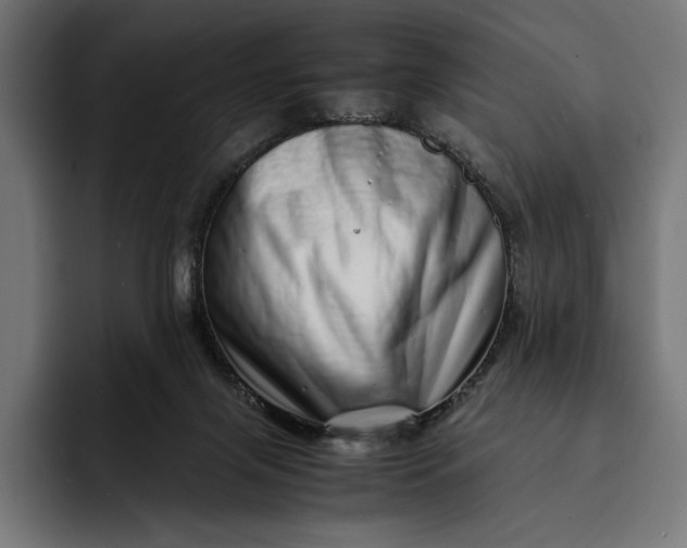 X0000093120071200710101048