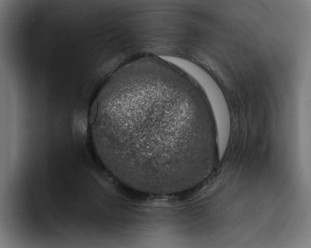 X0000093120072200710101048