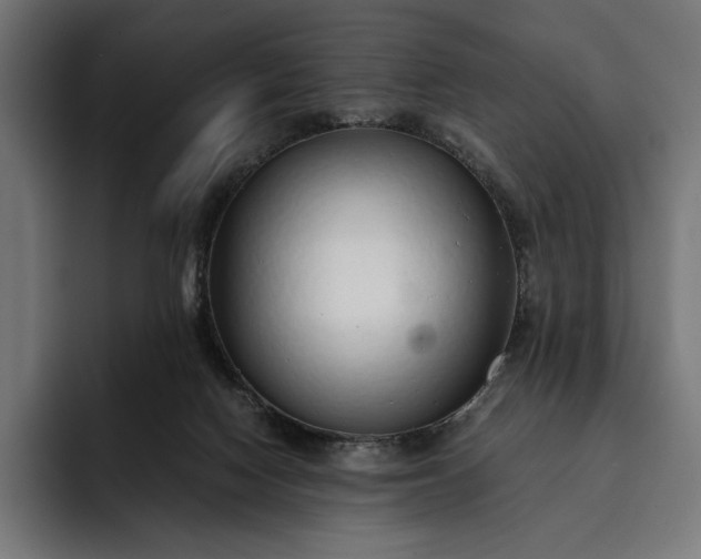 X0000093120074200710101048