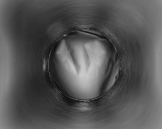 X0000093120075200710101048