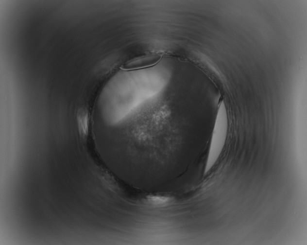 X0000093120076200710101048