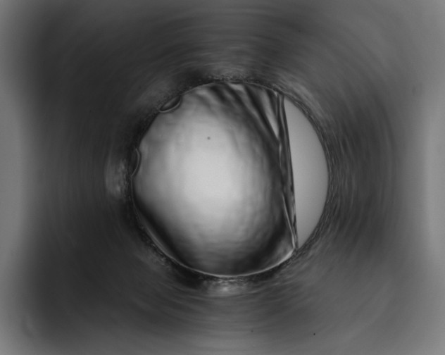 X0000093120077200710101048