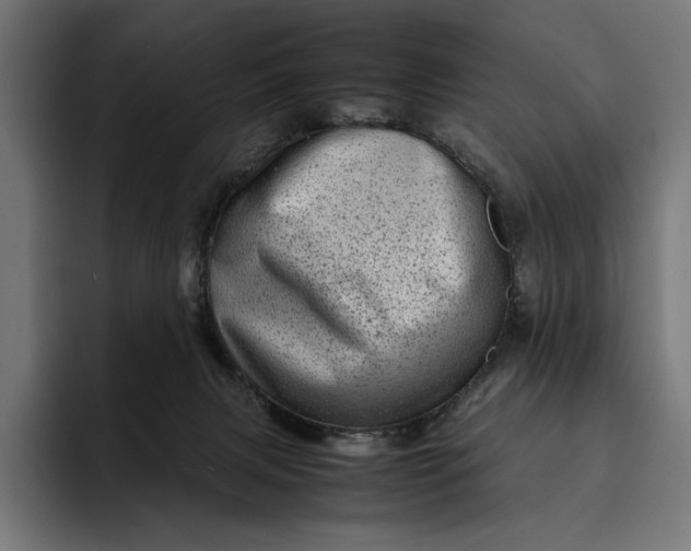 X0000093120079200710101048