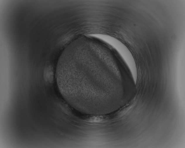 X0000093120080200710101048