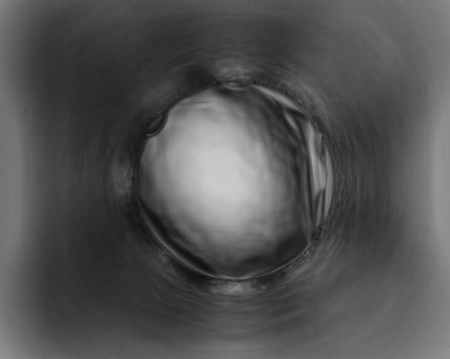 X0000093120081200710101048