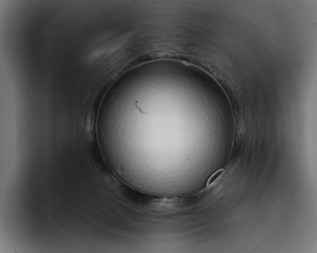 X0000093120082200710101048