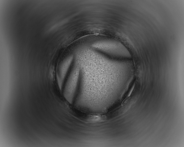 X0000093120083200710101048