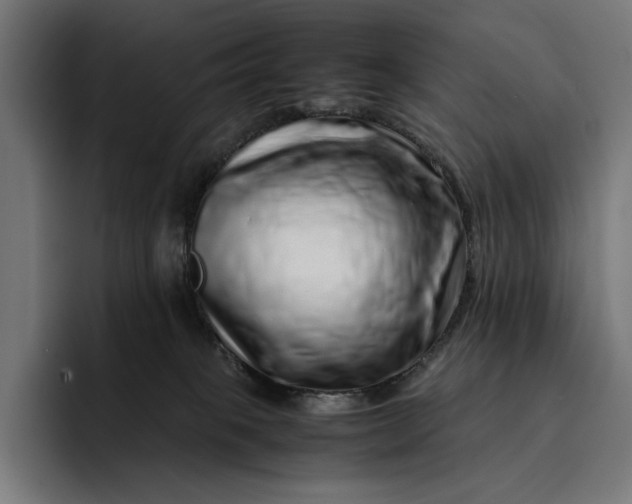 X0000093120085200710101048