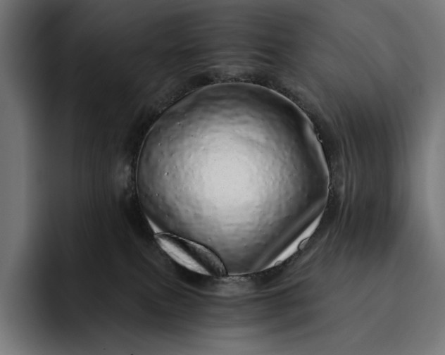 X0000093120087200710101048