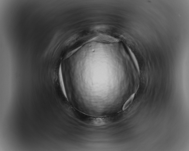 X0000093120091200710101048