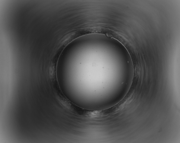 X0000093120092200710101048